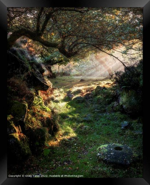 Padley Gorge Morning Light Framed Print by Craig Yates