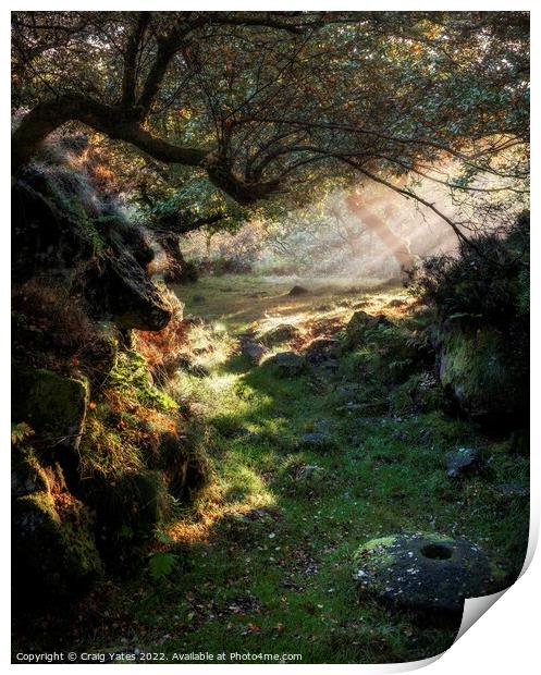 Padley Gorge Morning Light Print by Craig Yates