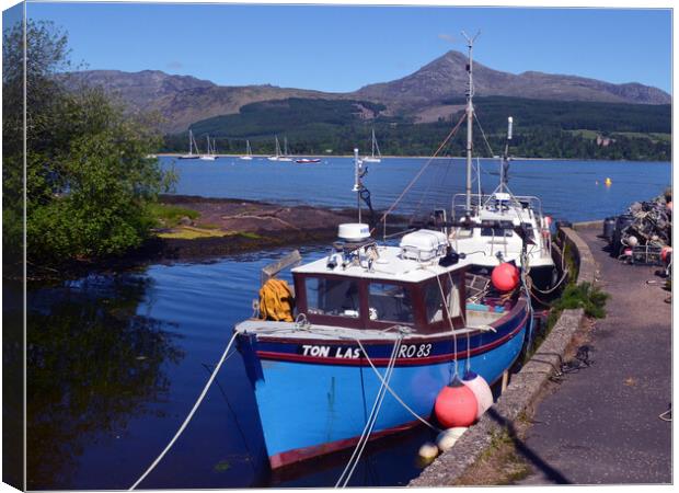 Fishing vessels at Brodick, Isle of Arran Canvas Print by Allan Durward Photography