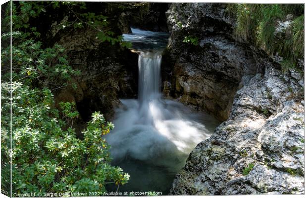 waterfalls of a river in the wood Canvas Print by Sergio Delle Vedove