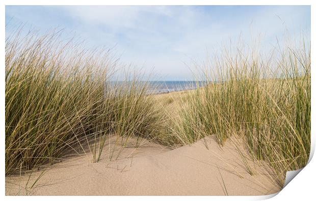 Sand dunes over Formby beach Print by Jason Wells