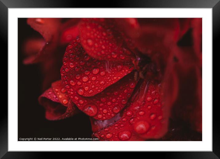 Passion Framed Mounted Print by Neil Porter