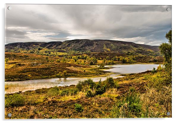Glen Convinth near Loch Ness Acrylic by Jacqi Elmslie
