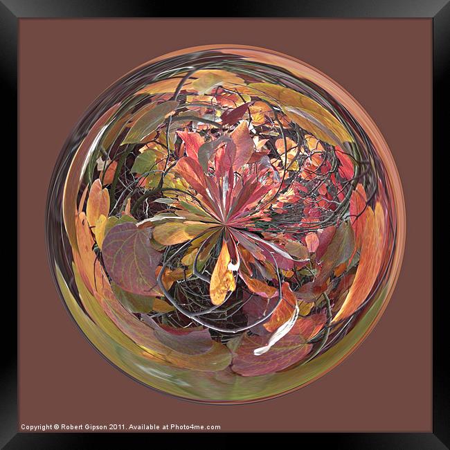 Spherical Glass paperweight Tanglewood Framed Print by Robert Gipson