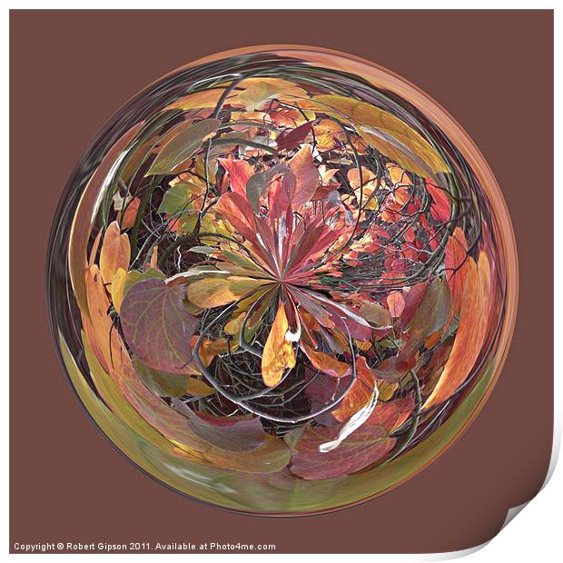Spherical Glass paperweight Tanglewood Print by Robert Gipson