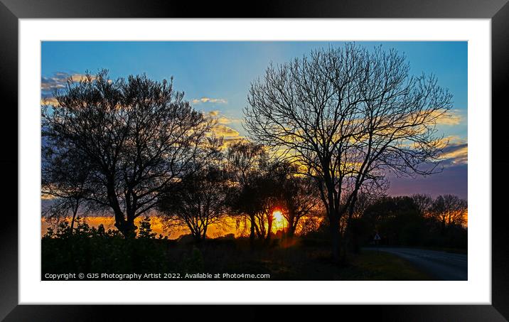Sun Sets Through Trees Framed Mounted Print by GJS Photography Artist