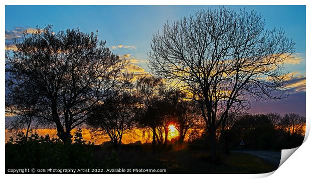 Sun Sets Through Trees Print by GJS Photography Artist