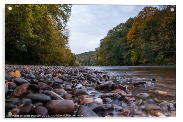 Autumn River  Acrylic by Brett Pearson