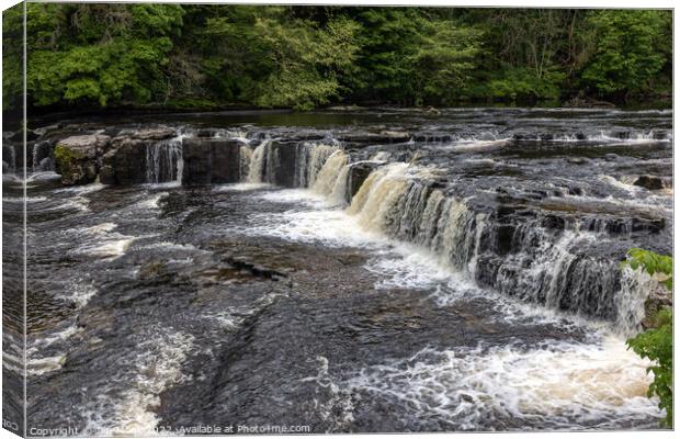 Aysgarth Upper Falls Canvas Print by Jim Monk