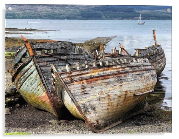Salen Bay shipwreck, Isle of Mull Acrylic by yvonne & paul carroll