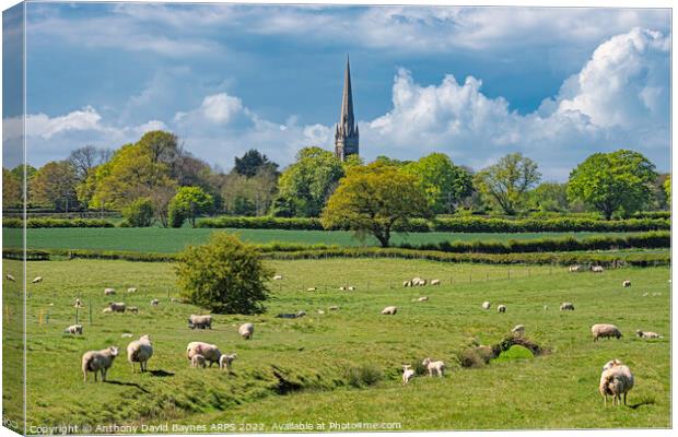 St Mary's Church, South Dalton Church, East Yorkshire, in rural setting with sheep. Canvas Print by Anthony David Baynes ARPS