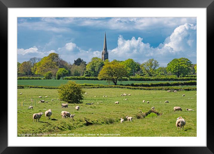 St Mary's Church, South Dalton Church, East Yorkshire, in rural setting with sheep. Framed Mounted Print by Anthony David Baynes ARPS