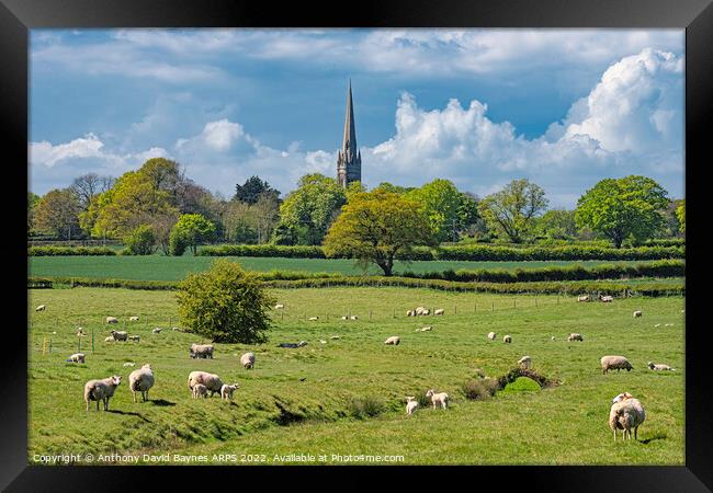 St Mary's Church, South Dalton Church, East Yorkshire, in rural setting with sheep. Framed Print by Anthony David Baynes ARPS