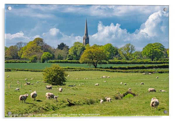 St Mary's Church, South Dalton Church, East Yorkshire, in rural setting with sheep. Acrylic by Anthony David Baynes ARPS