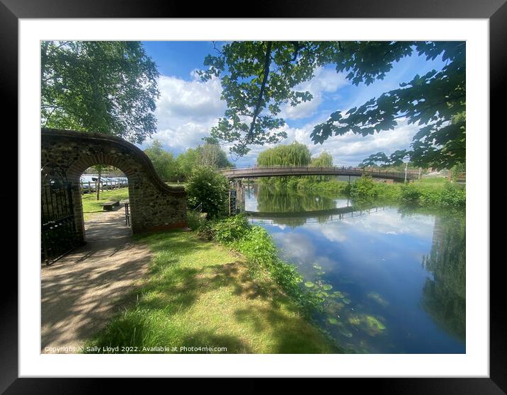 Jarrold Bridge o'er the Wensum, Norwich Framed Mounted Print by Sally Lloyd