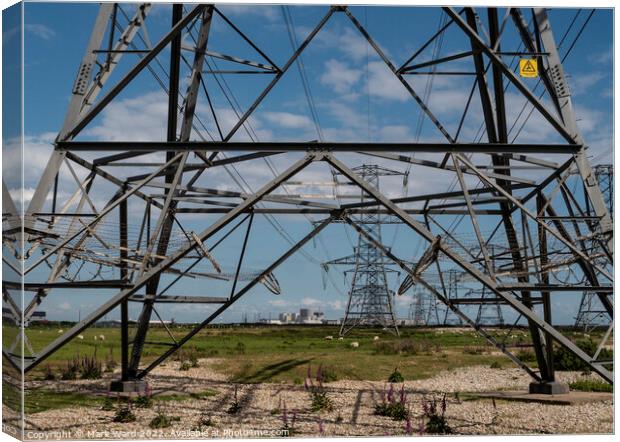 Power, Pasture, and Pylons. Canvas Print by Mark Ward