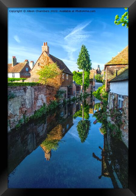 River Stour Canterbury  Framed Print by Alison Chambers