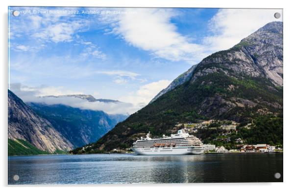 Norwegian Fjord Cruise Ship Hardanger Norway Acrylic by Pearl Bucknall