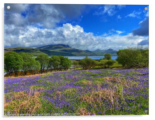 Looking towards Ben More across a field of bluebells on the Isle of Mull Acrylic by yvonne & paul carroll