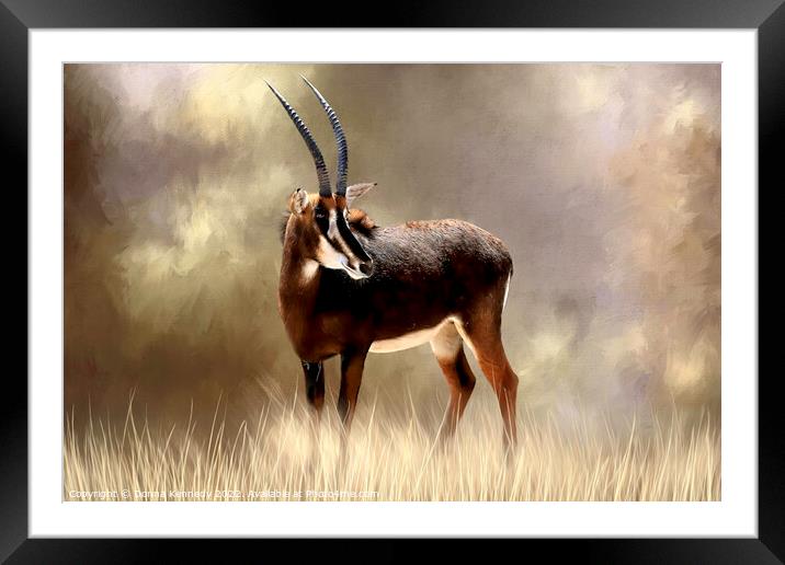 Sable Antelope Framed Mounted Print by Donna Kennedy