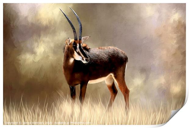 Sable Antelope Print by Donna Kennedy