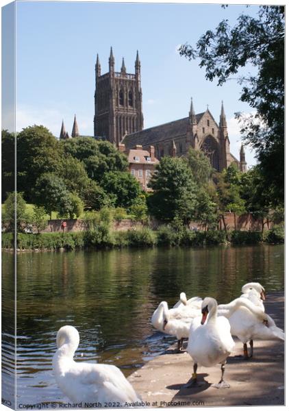 Majestic Worcester Cathedral on the River Severn Canvas Print by Richard North