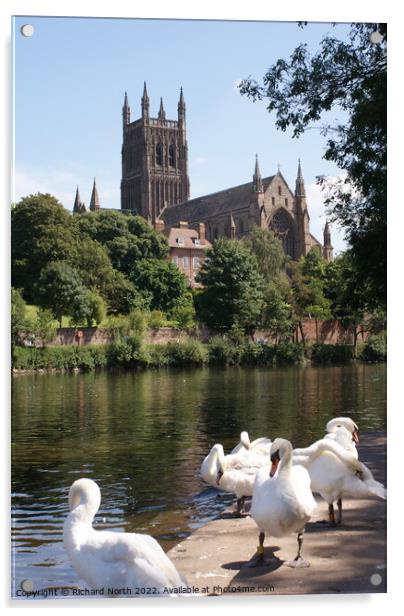 Majestic Worcester Cathedral on the River Severn Acrylic by Richard North