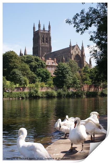 Majestic Worcester Cathedral on the River Severn Print by Richard North