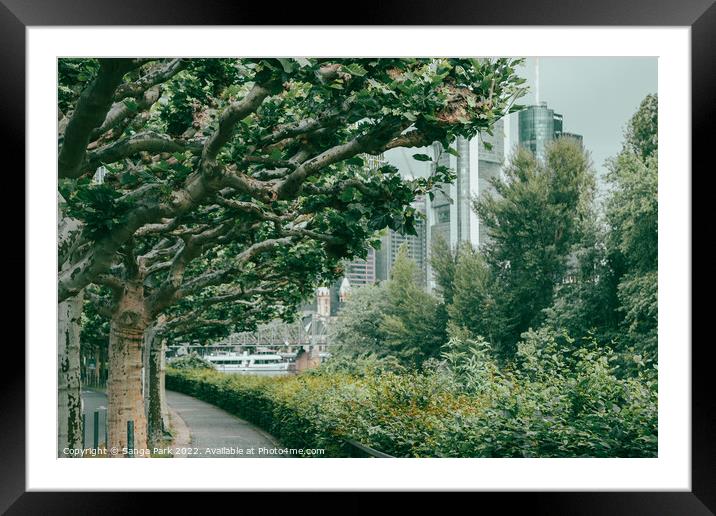 Frankfurt city and Main river green forest road Framed Mounted Print by Sanga Park