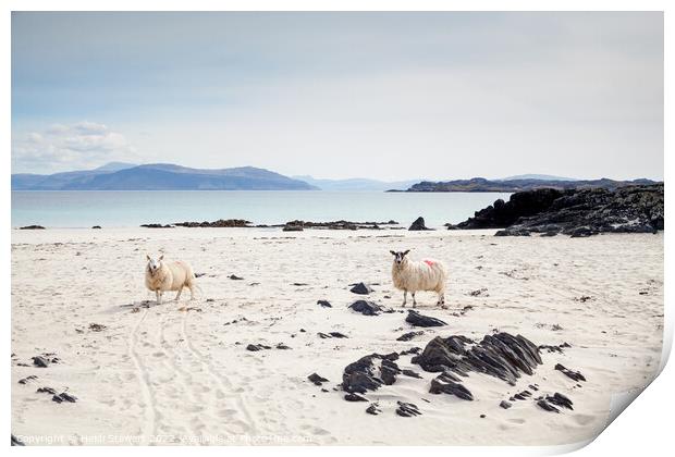 Sheep on the Beach Print by Heidi Stewart