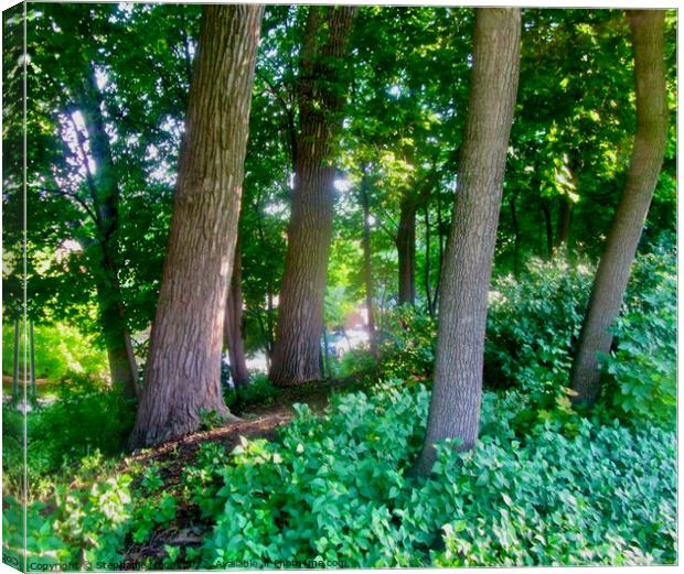 Trees in the park Canvas Print by Stephanie Moore