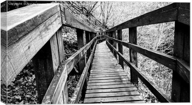 Forest Bridge over the Birks of Aberfeldy Canvas Print by Sandy Young