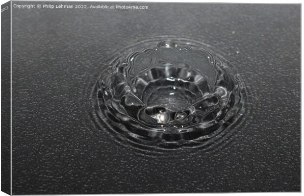 Water Droplet Black & White 1 Canvas Print by Philip Lehman