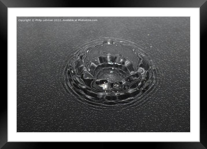 Water Droplet Black & White 1 Framed Mounted Print by Philip Lehman