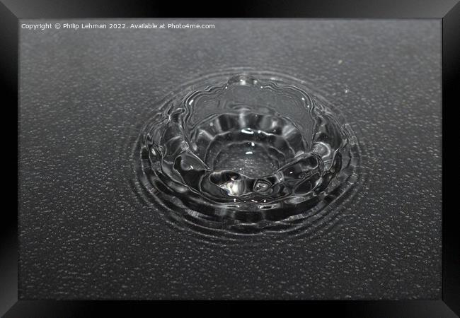 Water Droplet Black & White 1 Framed Print by Philip Lehman