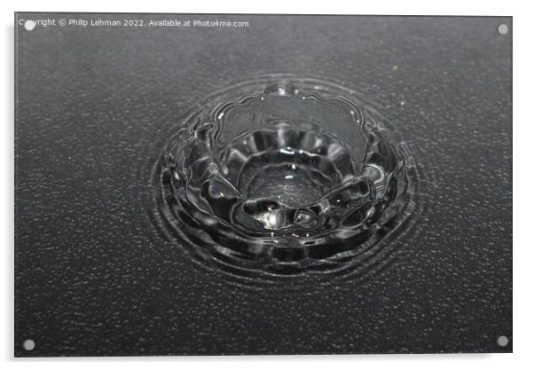 Water Droplet Black & White 1 Acrylic by Philip Lehman