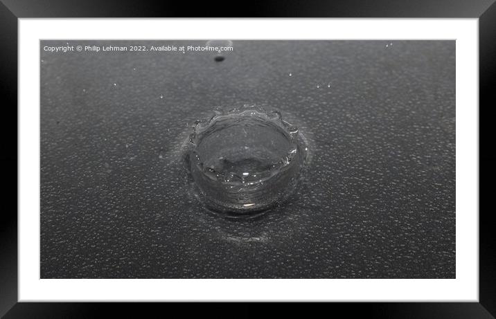 Water Droplet Black & White 2 Framed Mounted Print by Philip Lehman