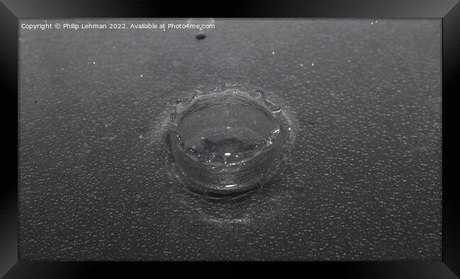 Water Droplet Black & White 2 Framed Print by Philip Lehman