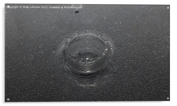 Water Droplet Black & White 2 Acrylic by Philip Lehman