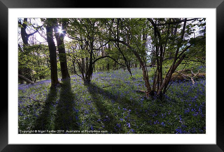 Llanbedr Bluebells Framed Mounted Print by Creative Photography Wales
