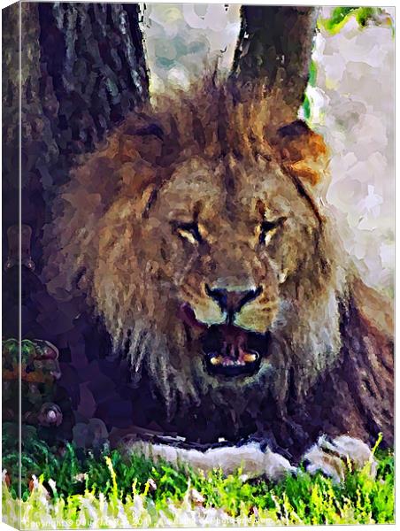 Lion painting Canvas Print by Doug McRae