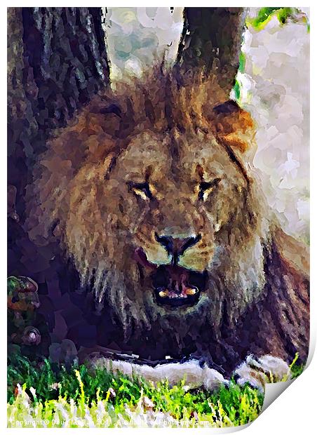 Lion painting Print by Doug McRae