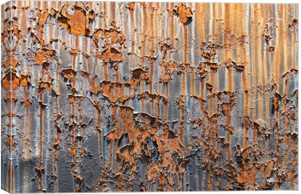 Rusty Metal Background With Peeling Paint Canvas Print by Artur Bogacki
