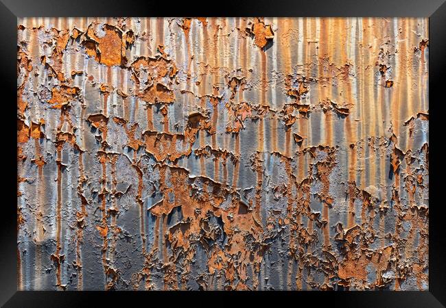 Rusty Metal Background With Peeling Paint Framed Print by Artur Bogacki
