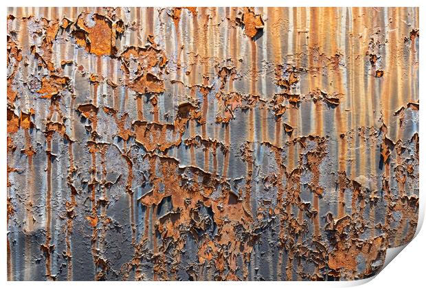 Rusty Metal Background With Peeling Paint Print by Artur Bogacki