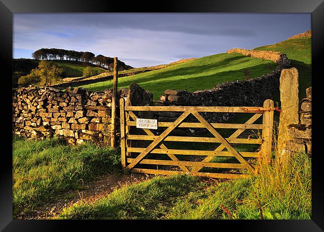 Golden Gate, Yorkshire Framed Print by Jason Connolly