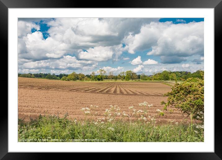 Potato Crop at Thorpe, Teesdale Framed Mounted Print by Richard Laidler