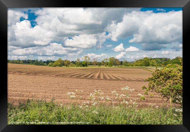 Potato Crop at Thorpe, Teesdale Framed Print by Richard Laidler