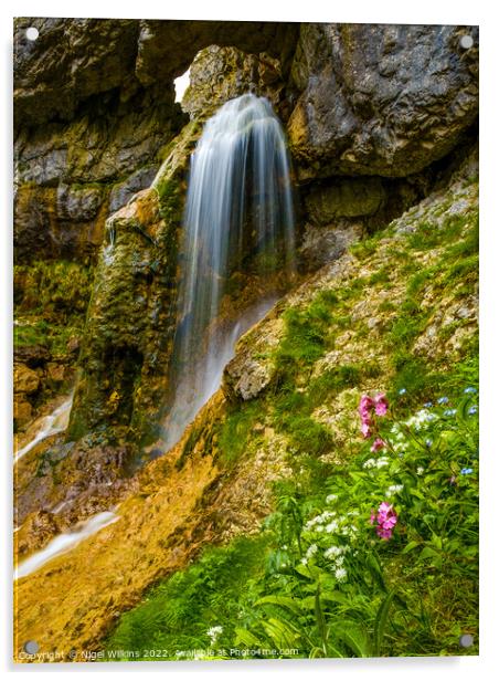 Gordale Scar Waterfall Acrylic by Nigel Wilkins