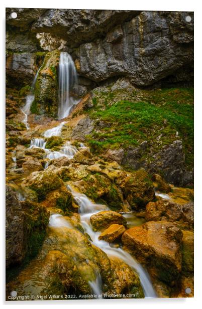 Gordale Scar Waterfall Acrylic by Nigel Wilkins